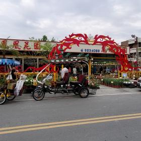 盆花零售商家與觀光三輪車