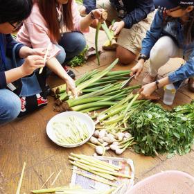 參加撒奇萊雅廚房小旅行的夥伴們幫忙處理野菜