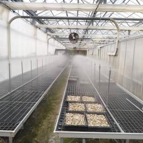 霧狀的灌溉設備提高雨來菇給水量的均勻度