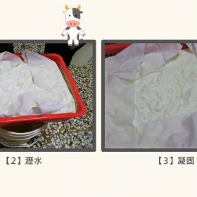 牛奶豆腐製作過程_彰化縣福寶村