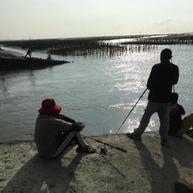 台西防潮堤1號水門外的釣客