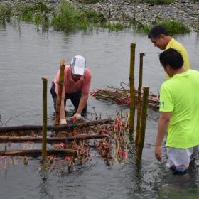 捕魚祭前族人在河川中放置Pacngcng