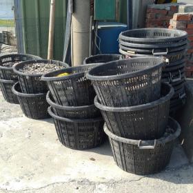 魚塭旁的塑膠籃
