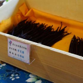 川永生技農場主徐榮銘投入新興作物試驗栽植香莢蘭，未來市場仍受挑戰。