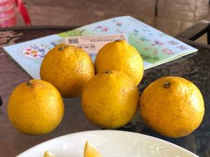 慶福里農民改良甜檸檬