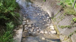 慶福里軟埤坑溪護魚步道