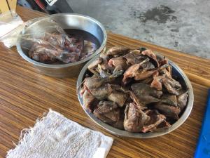 食-「害鳥」料理(烹飪前)-備料過程2
