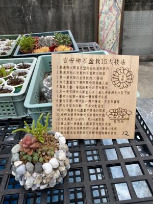干城社區發展協會課程之砌石盆栽解說牌(攝影：蔡念澄，攝於2021年2月25日)