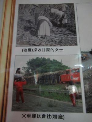 甘蔗採收與糖鐵火車舊照片壁報