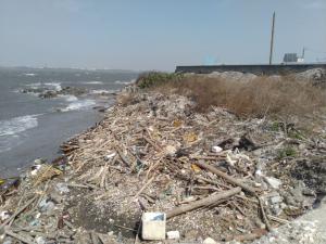 海堤外的漂流木與家庭垃圾