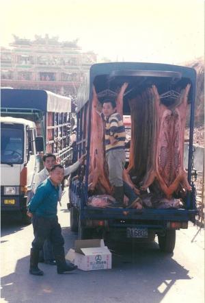 丙子年（1996年）載牲禮的貨車