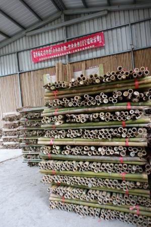 20210409廢棄十年的竹子DIY工廠.