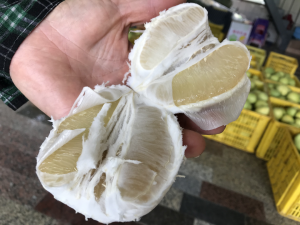 高品質的文旦柚無籽細米1