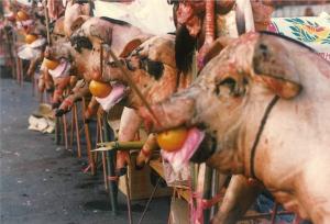 丙子年（1996年）豬隻牲禮