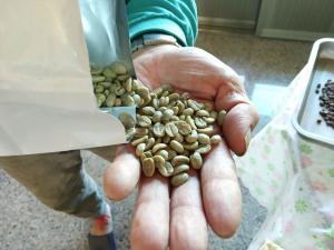 張晊毓的咖啡生豆
