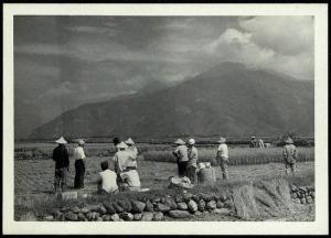 50至60年代，花東農場墾區狀況