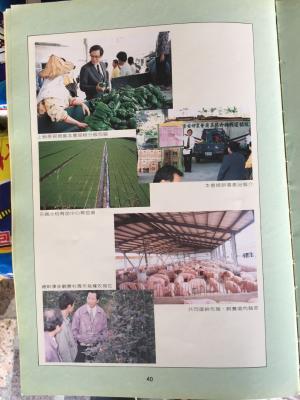 花蓮縣吉安鄉農會 新建辦公大樓落成誌慶特輯33