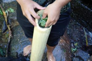 tawulu竹水筒 以樹葉塞緊洞口
