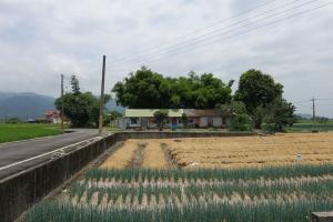 人和村仍保有不少宜蘭特色的傳統竹圍家屋。（攝影/鍾怡婷）